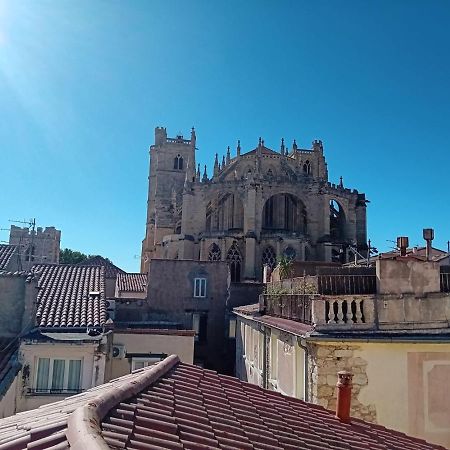 Studio Terrasse Vue Cathedrale Narbonne Exterior photo